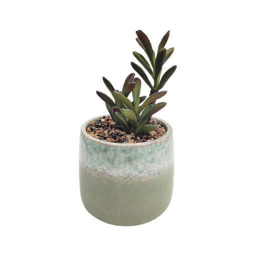 Planta com Vaso Cerâmica Verde-Kasa-Home Story