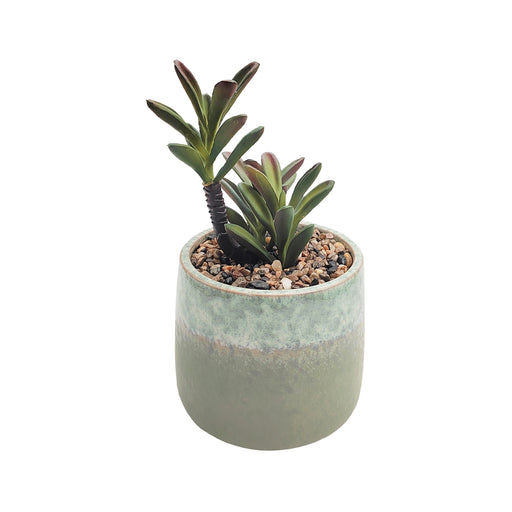 Planta com Vaso Cerâmica Verde-Kasa-Home Story