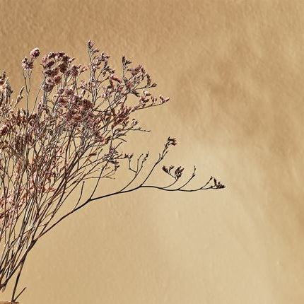 5 Ideias decoração com flores secas