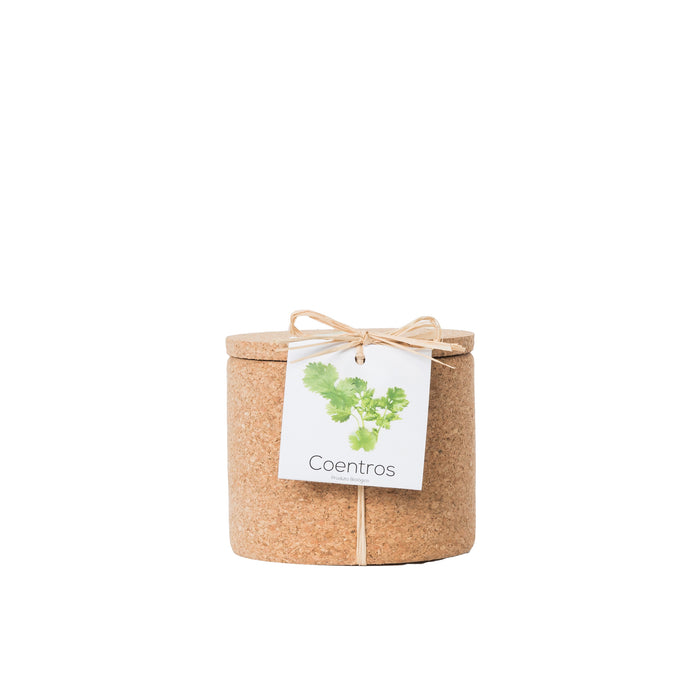 Grow Cork-Exclusivo-Home Story