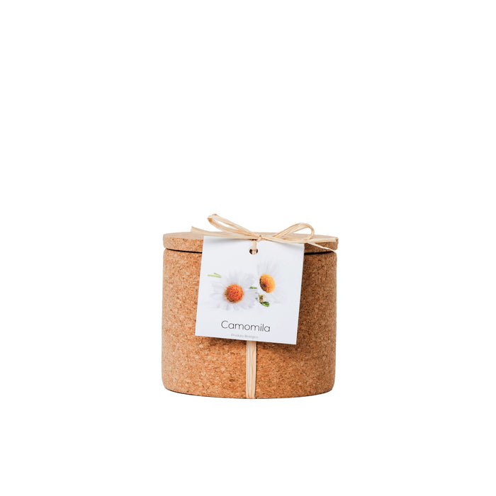 Grow Cork-Exclusivo-Home Story