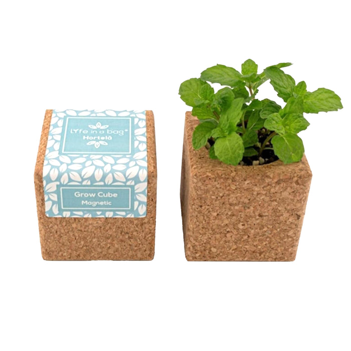 Grow Cube-Exclusivo-Home Story