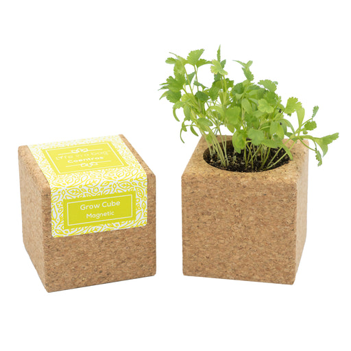 Grow Cube-Exclusivo-Home Story