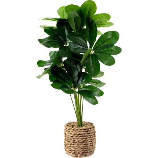 Planta Artificial com Vaso Seagrass-Kasa-Home Story