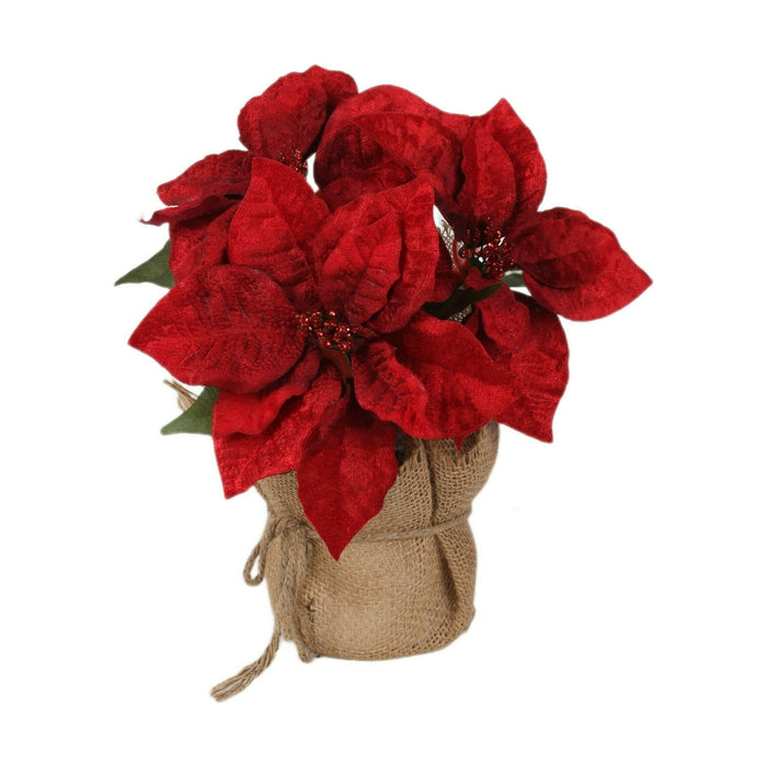 Vaso 3 Poinsetias