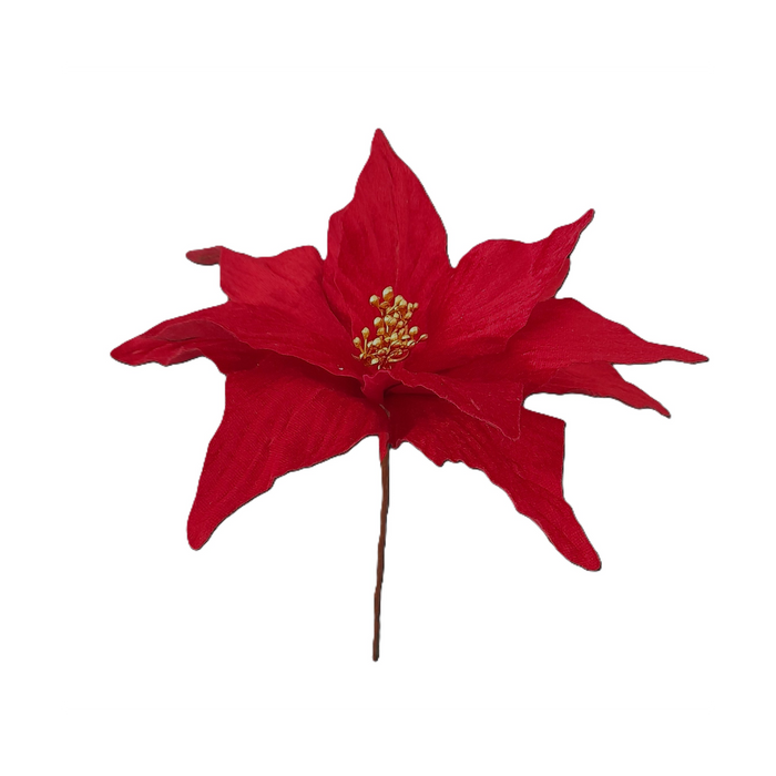 Pick Poinsetia 35Cm