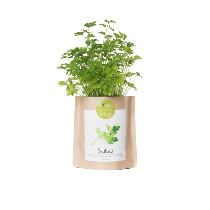 Grow Bag-Exclusivo-Home Story