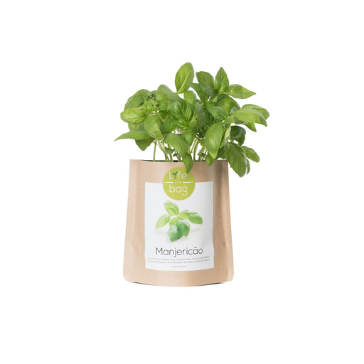 Grow Bag-Exclusivo-Home Story