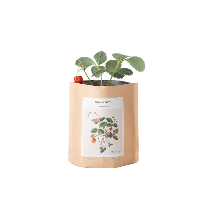 Grow Bag Mensagem-Exclusivo-Home Story