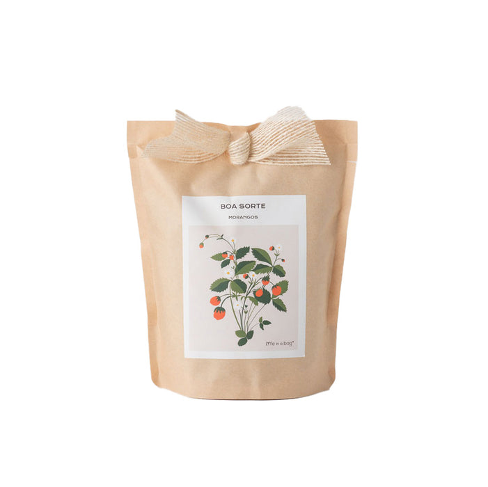 Grow Bag Mensagem-Exclusivo-Home Story