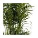 Planta Natural Chamaedorea Elegans 40-50Cm-Bioma-Home Story
