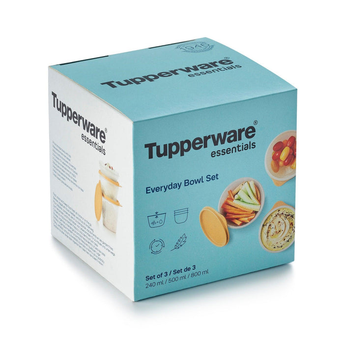 Conj. 3 Caixas Everyday Tupperware Home Story