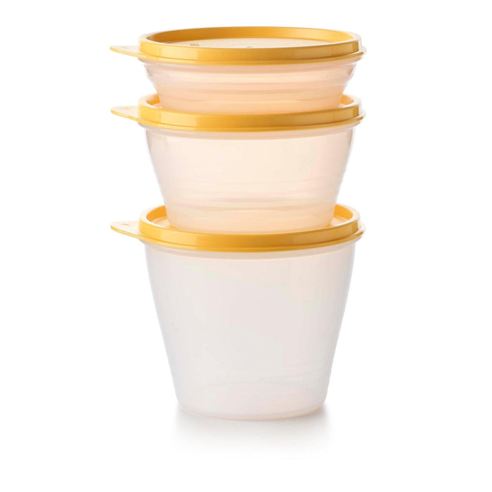 Conj. 3 Caixas Everyday Tupperware