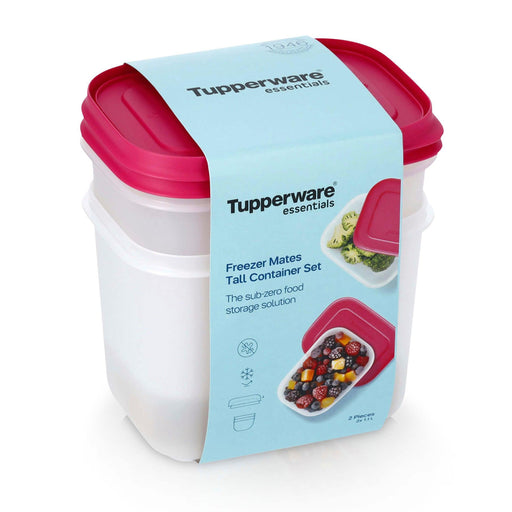 Conjunto 2 Caixas Herméticas Congelação Freezer Mates Tupperware Home Story