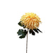 Haste De Crisantemo 70Cm-Exclusivo-Home Story