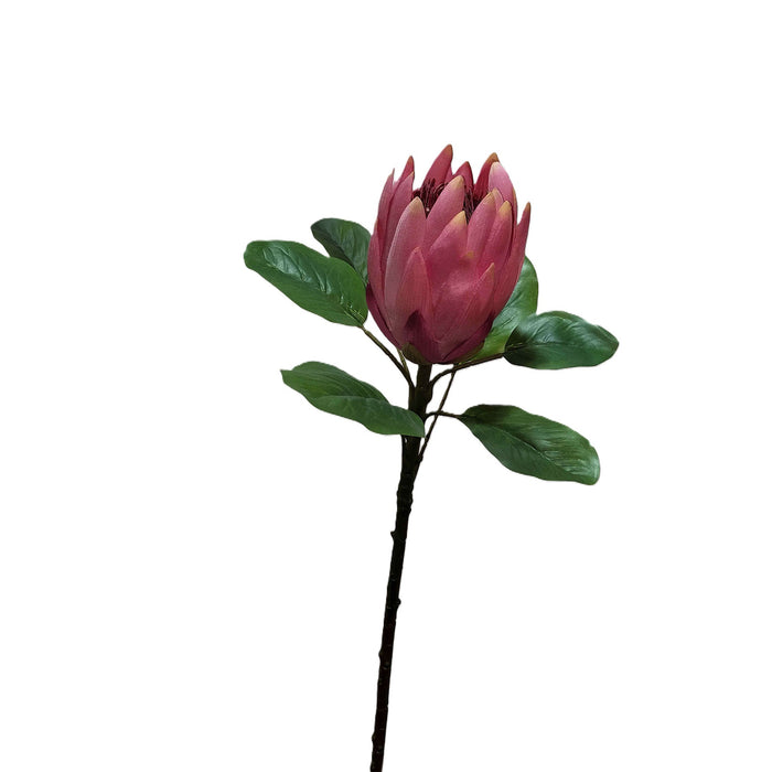 Haste Protea 80Cm-Exclusivo-Home Story