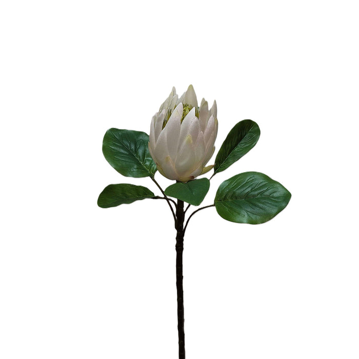 Haste Protea 80Cm-Exclusivo-Home Story