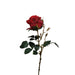 Haste Rosa Lincoln 55Cm-Exclusivo-Home Story