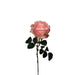 Haste Rosa Lincoln 55Cm-Exclusivo-Home Story