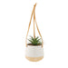 Planta Artifical com Vaso Branco Suspenso Kasa