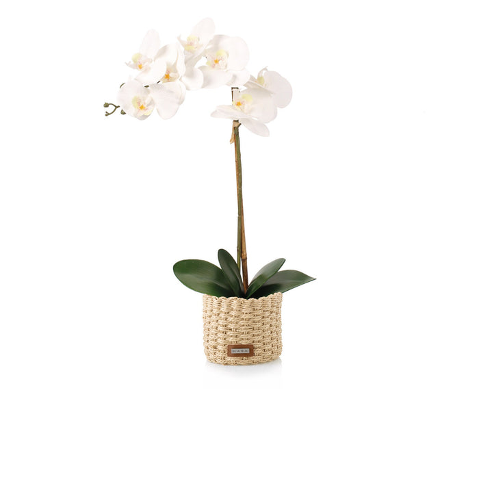 Planta Artificial Com Vaso Preto Orquídea Branca Kasa Home Story