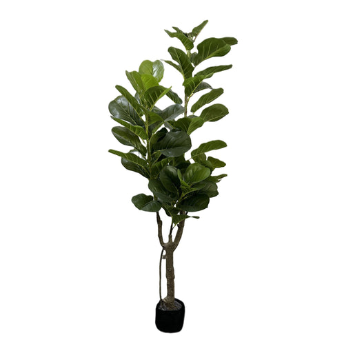 Planta Artificial Fidder 150Cm-Exclusivo-Home Story