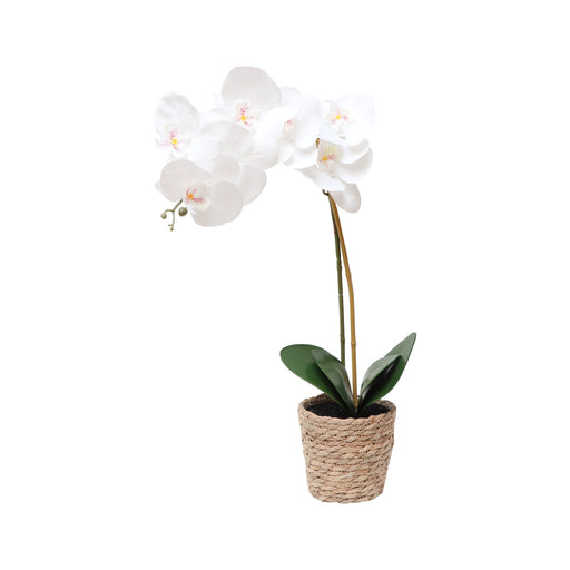 Plantas Artificial Orquídea Branca com Vaso Seagrass-Kasa-Home Story