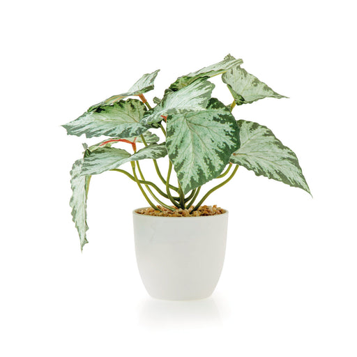 Planta Artificial com Vaso Branco Kasa