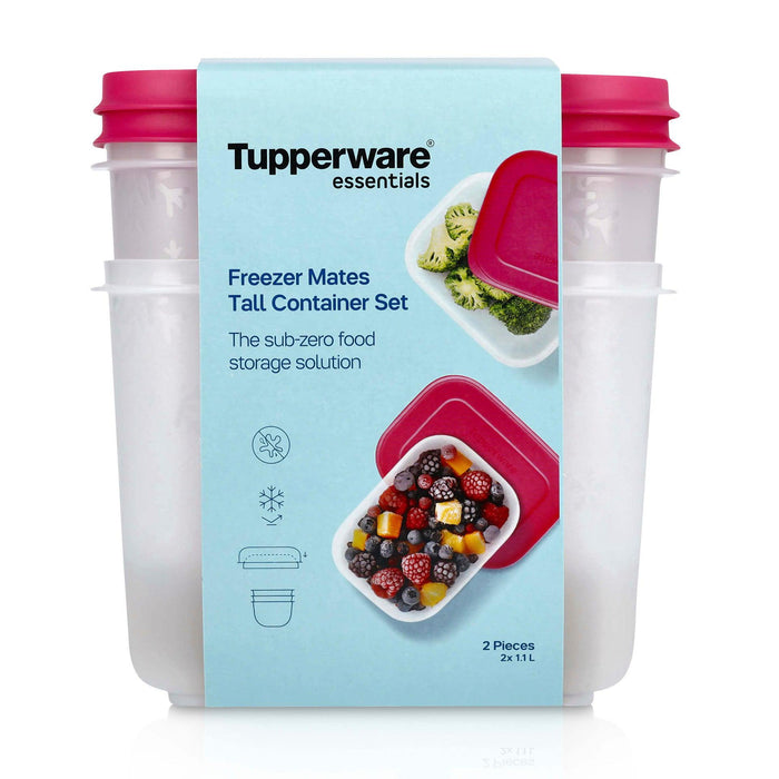 Conjunto 2 Caixas Herméticas Congelação Freezer Mates Tupperware
